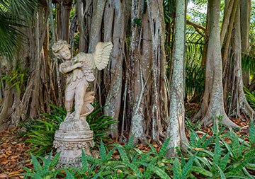 Photo of a statue in a garden. Link to Gifts of Appreciated Securities Photo of a statue in a garden. Link to Gifts of Appreciated Securities
